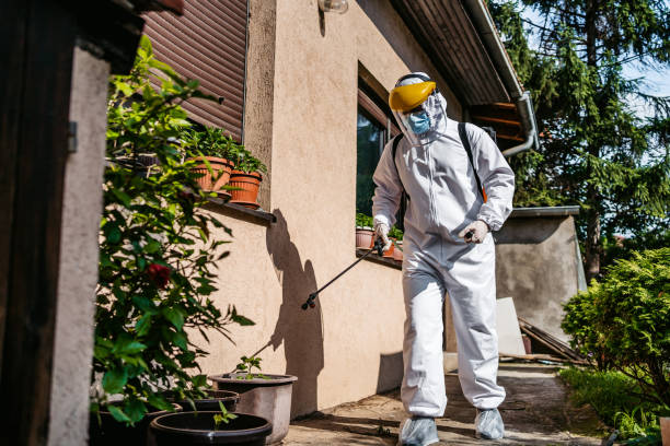 Professional Pest Control in Proctor, MN