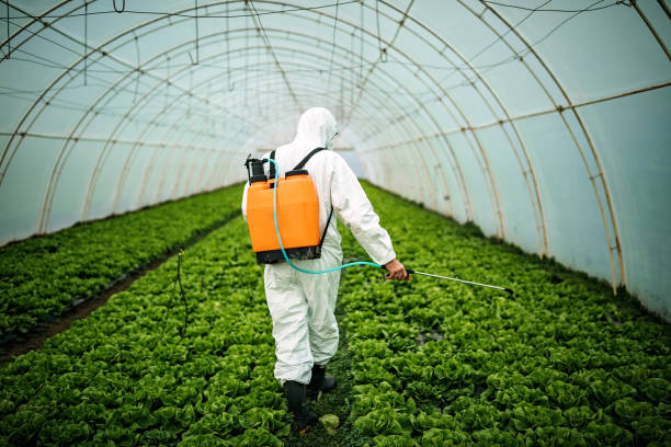 Best Residential Pest Control  in Proctor, MN