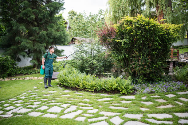 Best Emergency Pest Control  in Proctor, MN
